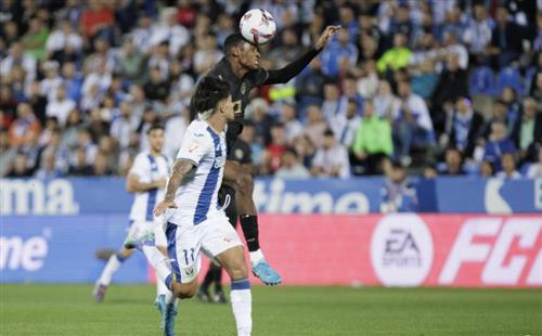 Vamos Bet Net: Ultimate Betting Guide